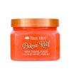 Bikini Reef Shea Sugar Scrub