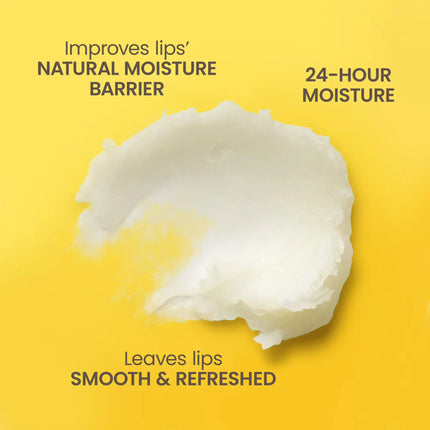 Burt's Bees Lip Balm Tropical Pineapple Blister