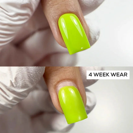 Lumore Rubber Base Stay