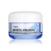 Waterfull Hyaluronic Cream 